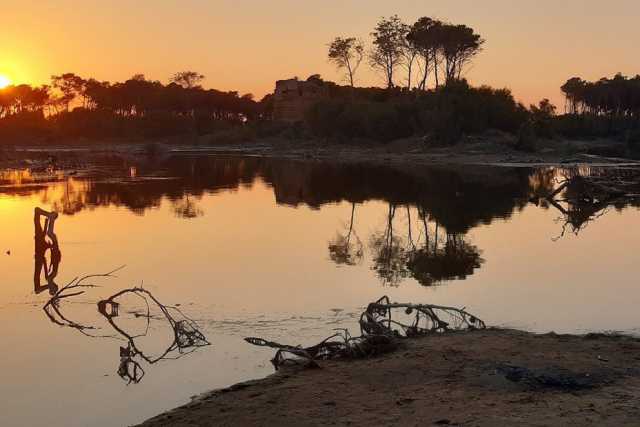 Laghi, pinete e torri del 500: tra Puglia e Basilicata c'� l'incantevole riserva Stornara